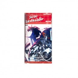 BOOSTER SOLO LEVELING...