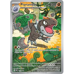 COFFRET POKEMON DRESSEUR D...