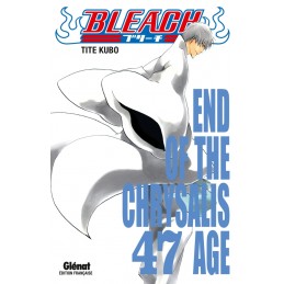 MANGA BLEACH TOME 47