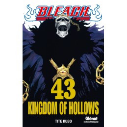 MANGA BLEACH TOME 43