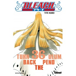 MANGA BLEACH TOME 36