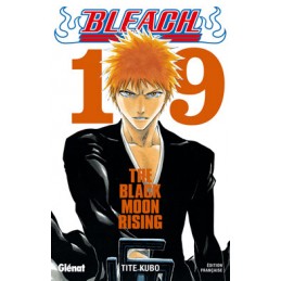 MANGA BLEACH TOME 19