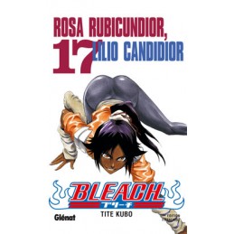 MANGA BLEACH TOME 17