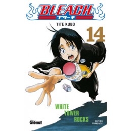 MANGA BLEACH TOME 14