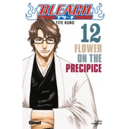 MANGA BLEACH TOME 12