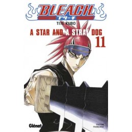 MANGA BLEACH TOME 11