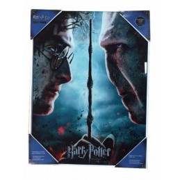 POSTER HARRY POTTER X...